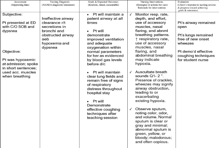 nursing care plan example for COPD